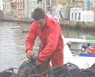 PESCA 04  GANADO